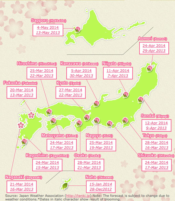 Hanami fioritura dei ciliegi in Giappone